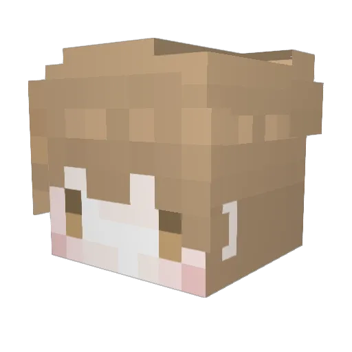 Prievl Minecraft avatar head, 3D render