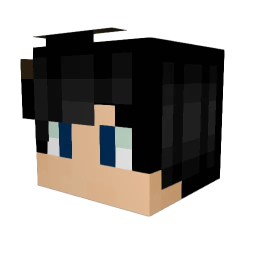 PrimalInfinity Minecraft avatar head, 3D render
