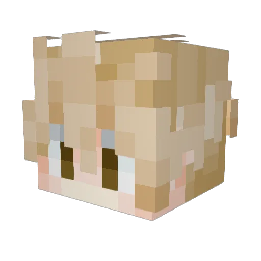 PrimeKyokotsu Minecraft avatar head, 3D render