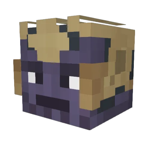 PrimeMaDHaTTer Minecraft avatar head, 3D render