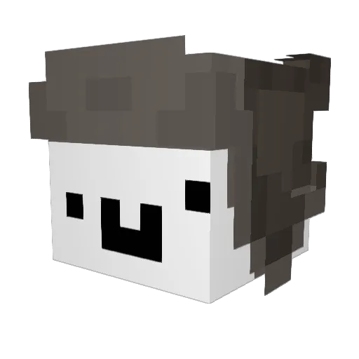 PrimePinguin Minecraft avatar head, 3D render
