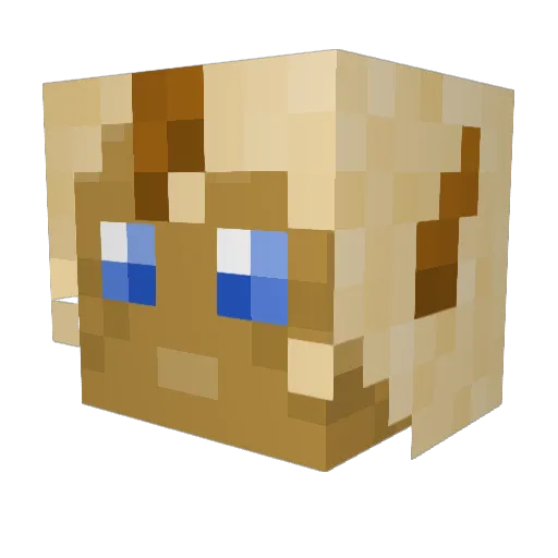 Primitive_Light Minecraft avatar head, 3D render