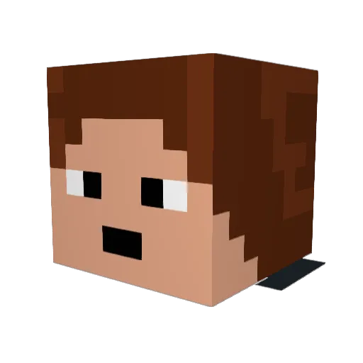 PrimoKoala Minecraft avatar head, 3D render