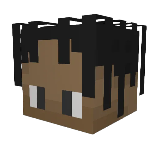 Primp14 Minecraft avatar head, 3D render