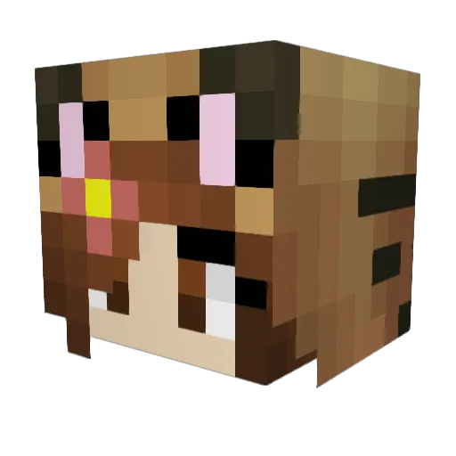 Primus_12 Minecraft avatar head, 3D render