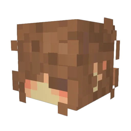 Prince1V Minecraft avatar head, 3D render