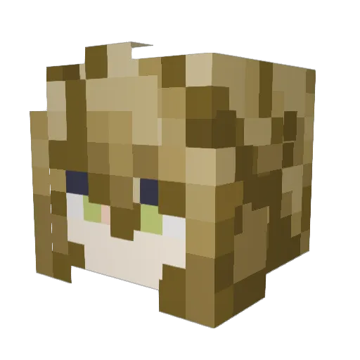 Prince612 Minecraft avatar head, 3D render