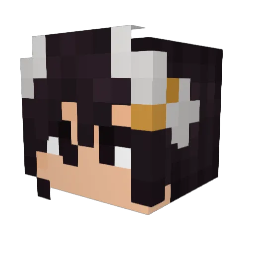 PrinceAsch Minecraft avatar head, 3D render