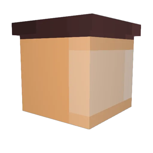 PrinceCR Minecraft avatar head, 3D render