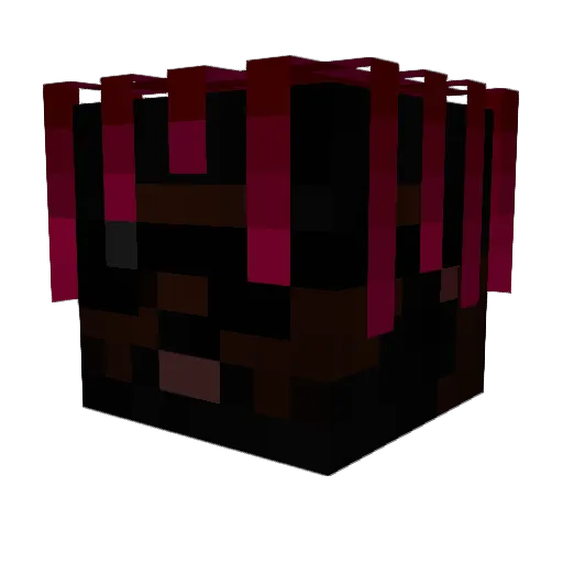 PrinceDeLaVille Minecraft avatar head, 3D render