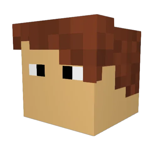 PrinceJamesII Minecraft avatar head, 3D render