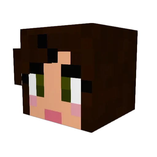 PrinceNaveen Minecraft avatar head, 3D render
