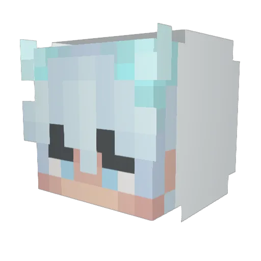 PrinceNit Minecraft avatar head, 3D render