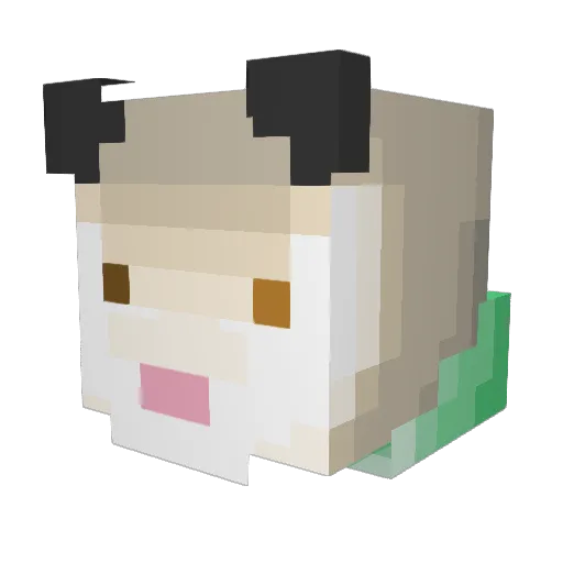 PrinceOfBelarus Minecraft avatar head, 3D render