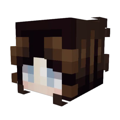 PrinceOfFlowers_ Minecraft avatar head, 3D render