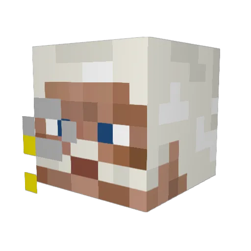 PrinceOfSex Minecraft avatar head, 3D render