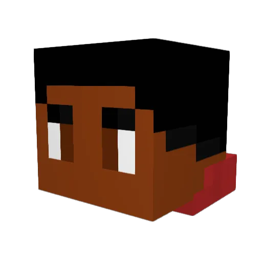 PrinceOfWakanda Minecraft avatar head, 3D render