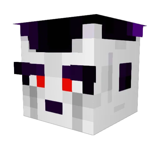 PrinceRaccoon Minecraft avatar head, 3D render