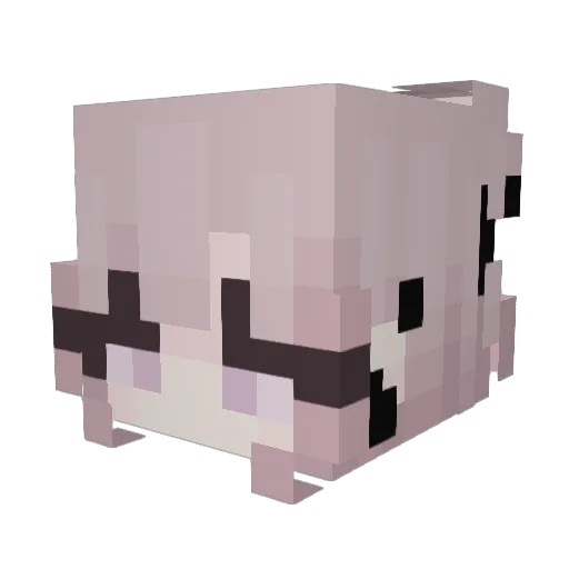 PrinceStar002 Minecraft avatar head, 3D render