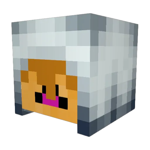 PrinceWhopper Minecraft avatar head, 3D render