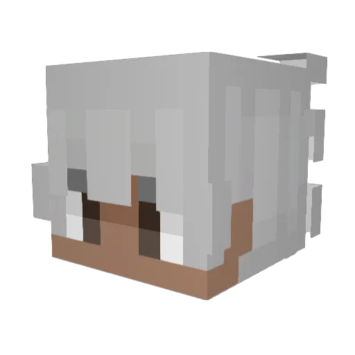 PrinceYoshi Minecraft avatar head, 3D render