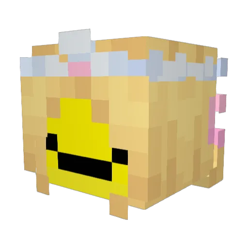 PrinceZam Minecraft avatar head, 3D render