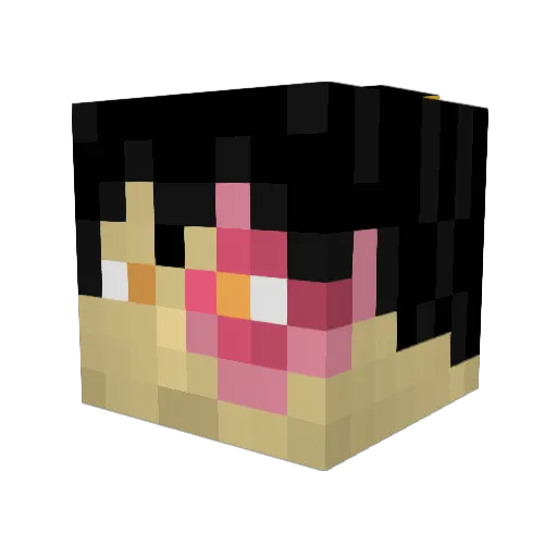 Prince__Zuko_ Minecraft avatar head, 3D render