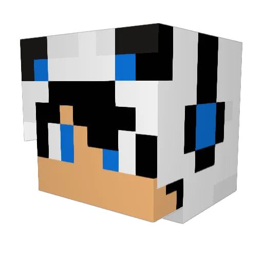 Princecraft Minecraft avatar head, 3D render