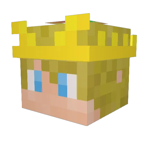 Princeling7 Minecraft avatar head, 3D render