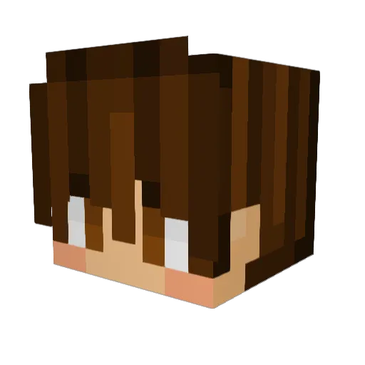 Princeohera99 Minecraft avatar head, 3D render