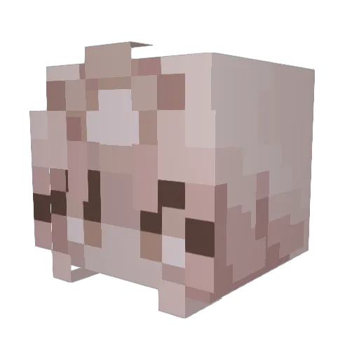 Princesplatthen Minecraft avatar head, 3D render