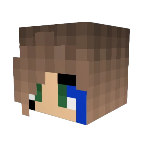 Princess135 Minecraft avatar head, 3D render
