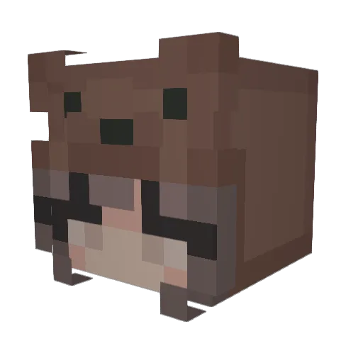 Princess2010 Minecraft avatar head, 3D render