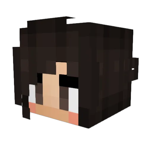 Princess2222 Minecraft avatar head, 3D render
