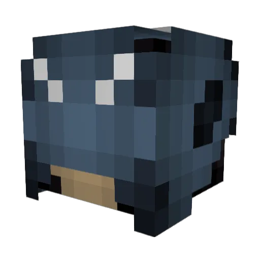 PrincessAK2021 Minecraft avatar head, 3D render