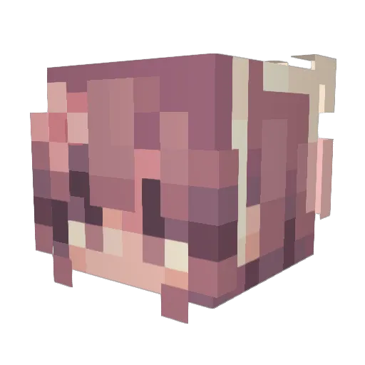 PrincessAKL Minecraft avatar head, 3D render