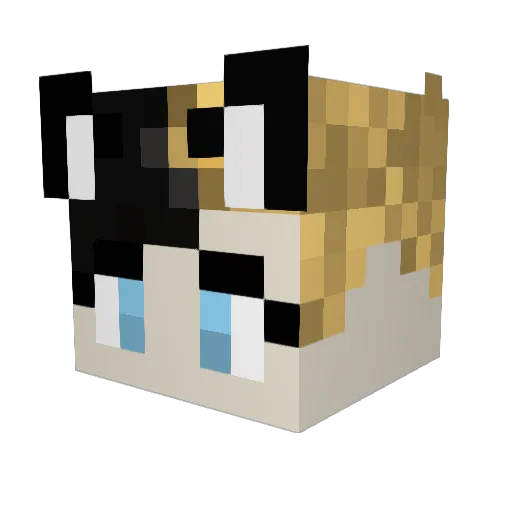 PrincessAdam Minecraft avatar head, 3D render