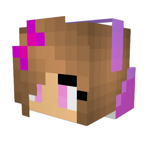 PrincessAnna2010 Minecraft avatar head, 3D render