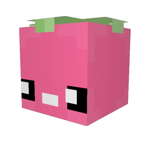 PrincessAppa Minecraft avatar head, 3D render