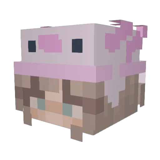 PrincessAyane Minecraft avatar head, 3D render