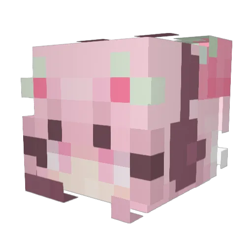 PrincessBBG7 Minecraft avatar head, 3D render