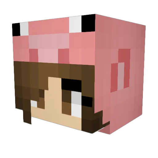 PrincessBagel Minecraft avatar head, 3D render