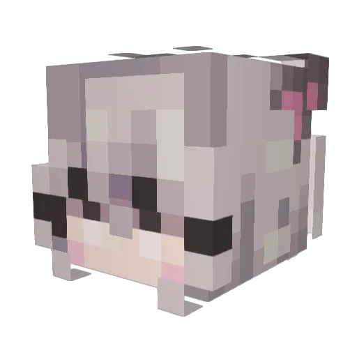 PrincessBeeb Minecraft avatar head, 3D render