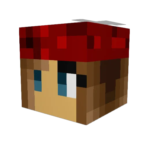 PrincessBetsy Minecraft avatar head, 3D render