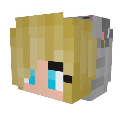 PrincessBlues Minecraft avatar head, 3D render