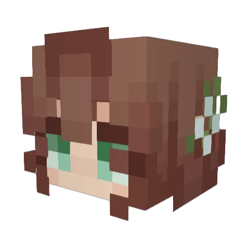 PrincessBroccoli Minecraft avatar head, 3D render