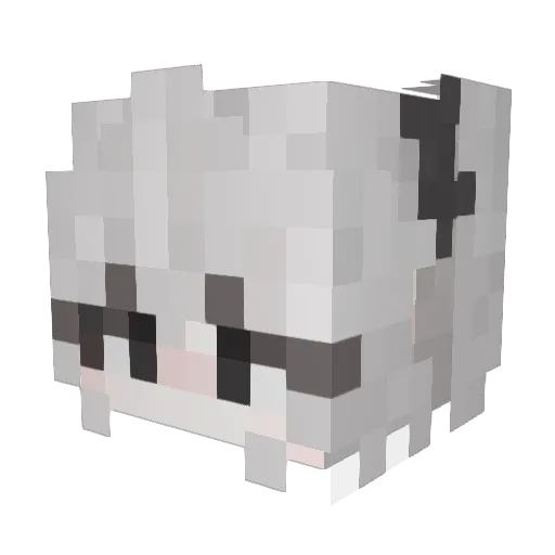 PrincessChoco Minecraft avatar head, 3D render