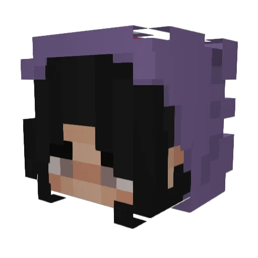 PrincessCo0kie Minecraft avatar head, 3D render