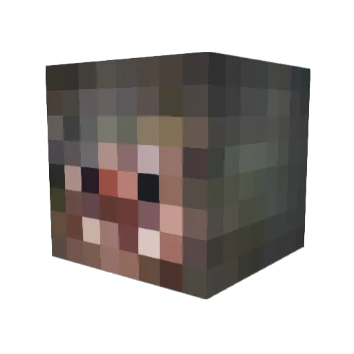 PrincessCoin955 Minecraft avatar head, 3D render