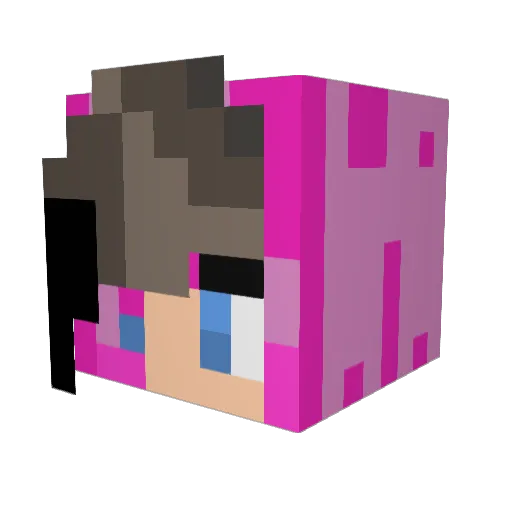 PrincessDack Minecraft avatar head, 3D render